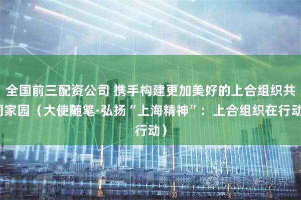全国前三配资公司 携手构建更加美好的上合组织共同家园（大使随笔·弘扬“上海精神”：上合组织在行动）