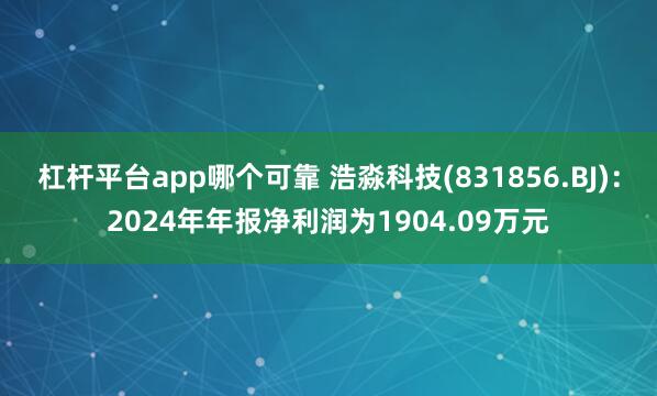 杠杆平台app哪个可靠 浩淼科技(831856.BJ)：2024年年报净利润为1904.09万元