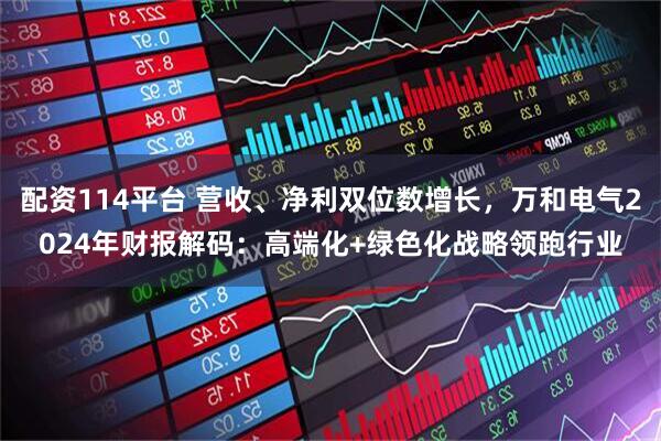 配资114平台 营收、净利双位数增长，万和电气2024年财报解码：高端化+绿色化战略领跑行业